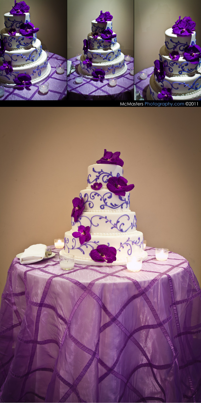 Liberty View Ballroom Philadelphia Wedding Photographers