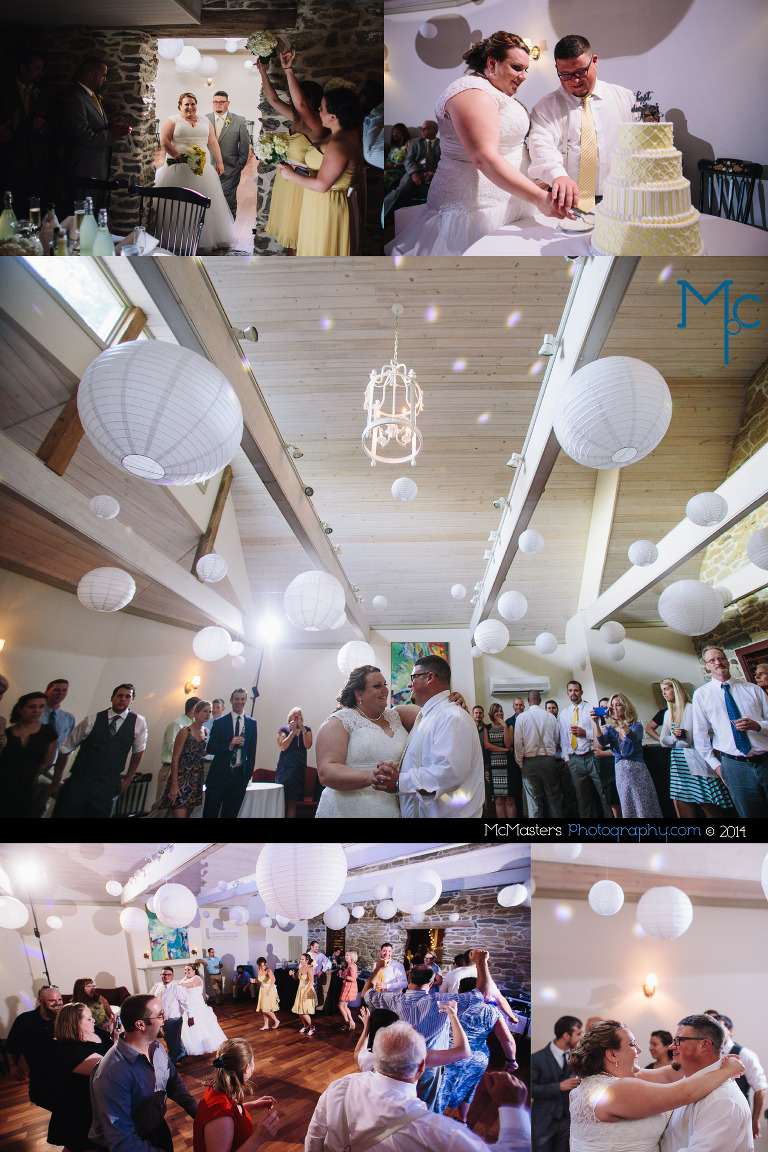 Pheasant Run Farm Wedding Photos 