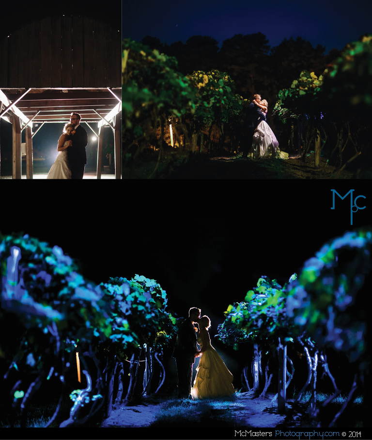 Renault Winery Wedding Photos 