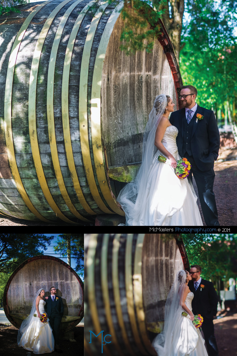 Renault Winery Wedding Photos 