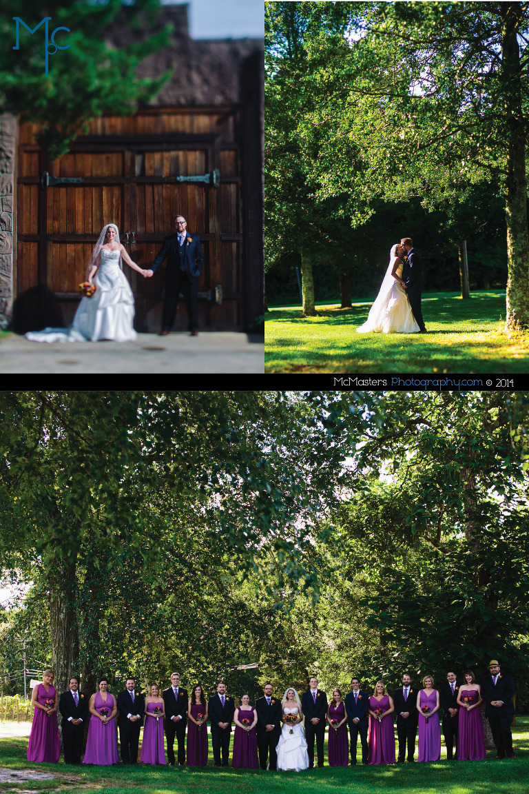 Renault Winery Wedding Photos 