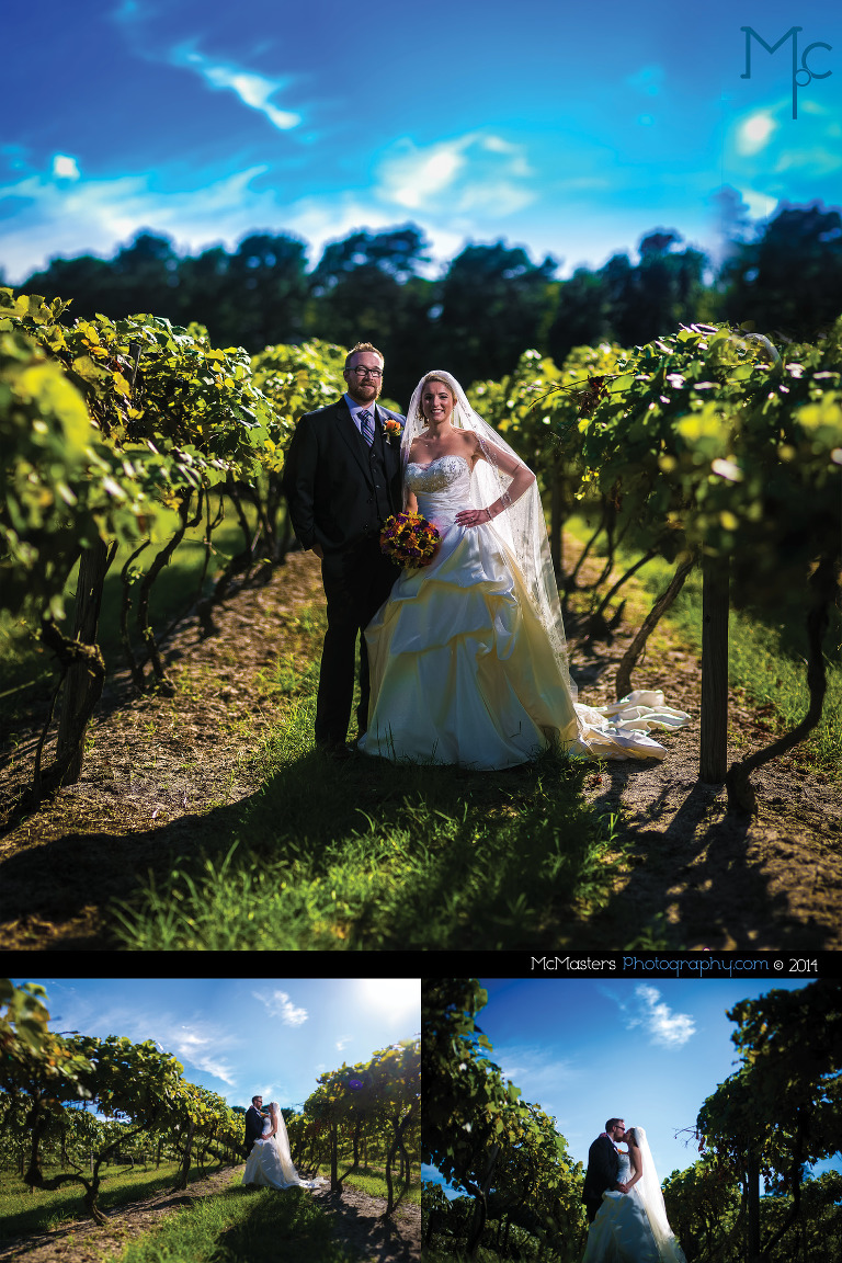 Renault Winery Wedding Photos 