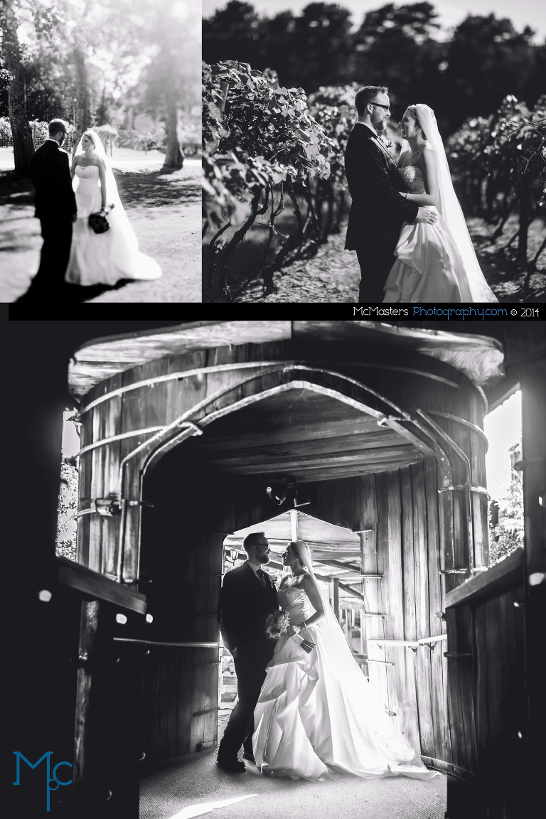 Renault Winery Wedding Photos 