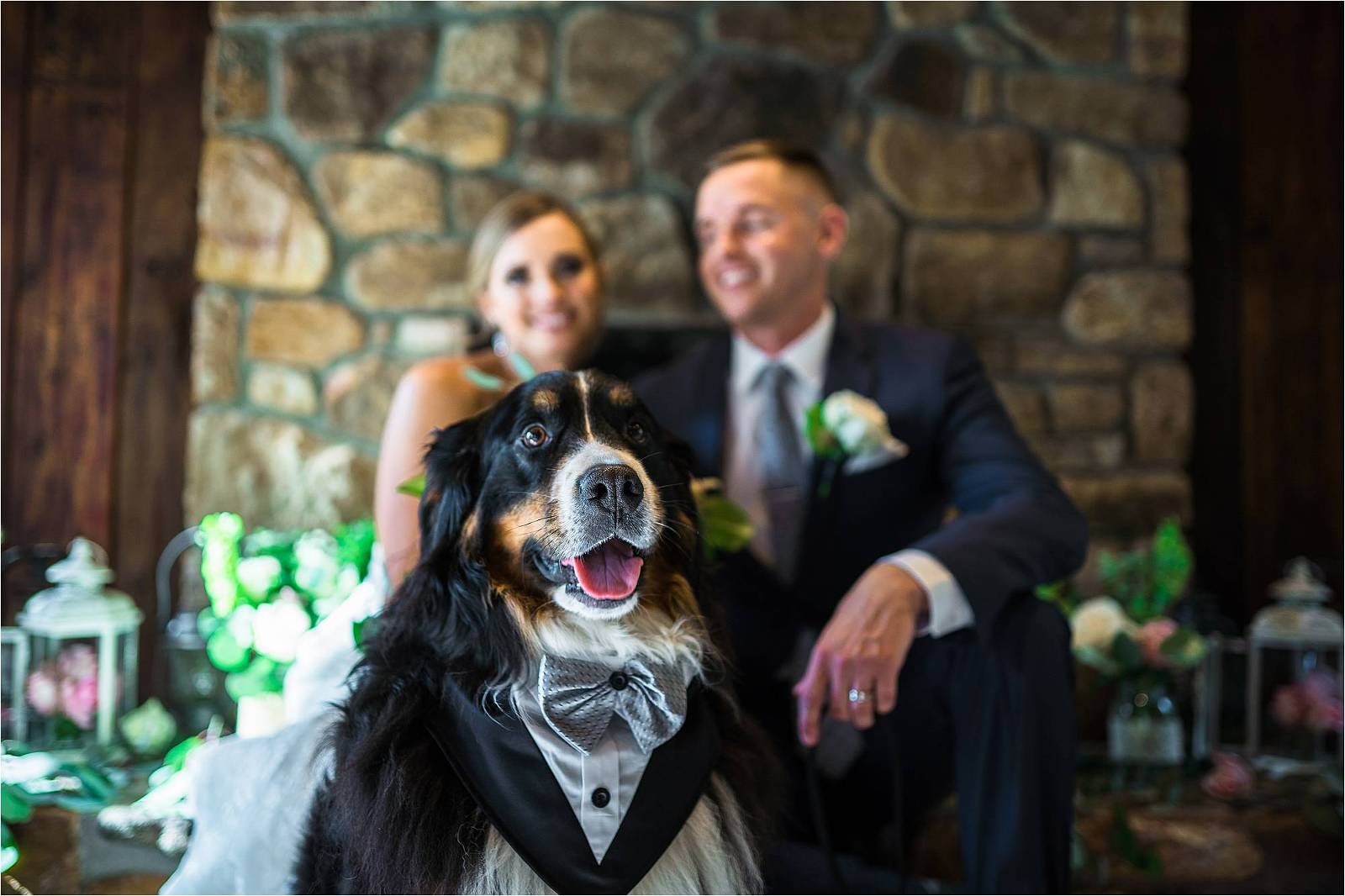Bride and groom sit with their Bernese mountain dog wearing a tux