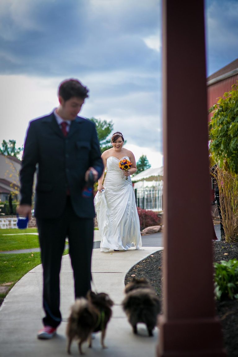Wedding first look with dogs photo