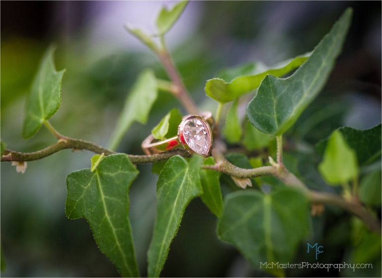 Close up photo of engagement ring on ivy vines.
