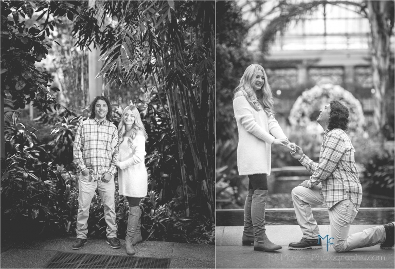 Black and white engagement photos at longwood gardens